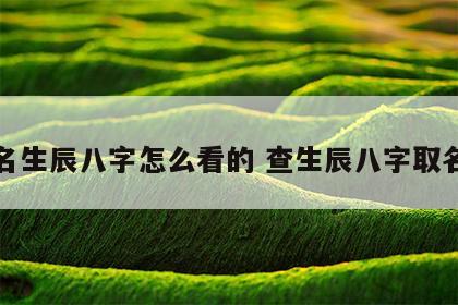 取名生辰八字怎么看的 查生辰八字取名字