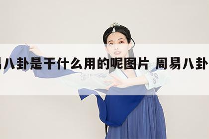 周易八卦是干什么用的呢图片 周易八卦指的是