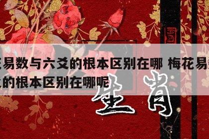 梅花易数与六爻的根本区别在哪 梅花易数与六爻的根本区别在哪呢