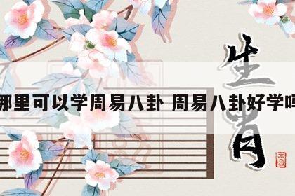 哪里可以学周易八卦 周易八卦好学吗