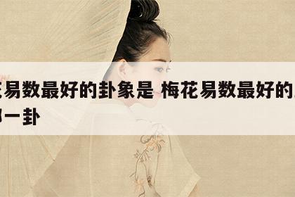 梅花易数最好的卦象是 梅花易数最好的卦象是哪一卦