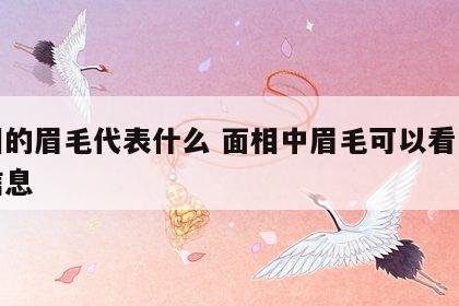 面相的眉毛代表什么 面相中眉毛可以看出哪些信息