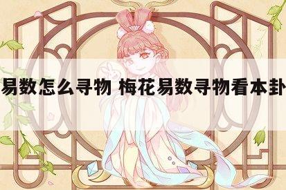 梅花易数怎么寻物 梅花易数寻物看本卦还是变卦