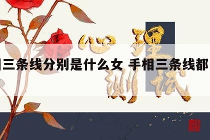 手相三条线分别是什么女 手相三条线都是什么