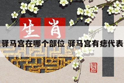 面相驿马宫在哪个部位 驿马宫有痣代表什么