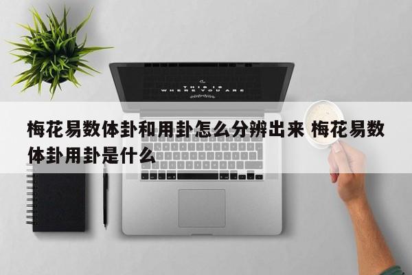 梅花易数体卦和用卦怎么分辨出来 梅花易数体卦用卦是什么