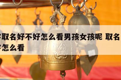 八字取名好不好怎么看男孩女孩呢 取名生辰八字怎么看