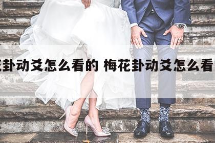 梅花卦动爻怎么看的 梅花卦动爻怎么看的准确