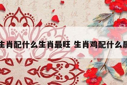 鸡生肖配什么生肖最旺 生肖鸡配什么属相
