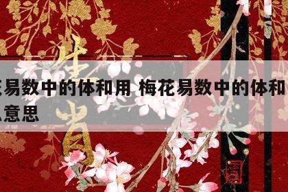 梅花易数中的体和用 梅花易数中的体和用是什么意思