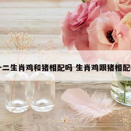 十二生肖鸡和猪相配吗 生肖鸡跟猪相配吗