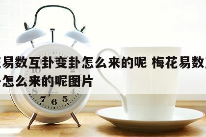 梅花易数互卦变卦怎么来的呢 梅花易数互卦变卦怎么来的呢图片