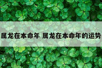 属龙在本命年 属龙在本命年的运势