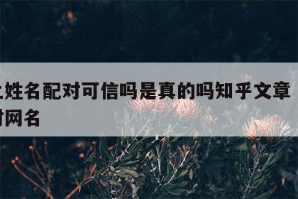 网上姓名配对可信吗是真的吗知乎文章 姓名配对网名
