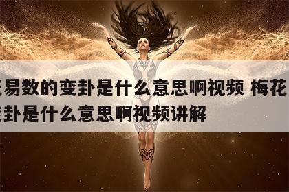 梅花易数的变卦是什么意思啊视频 梅花易数的变卦是什么意思啊视频讲解