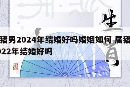 属猪男2024年结婚好吗婚姻如何 属猪男2022年结婚好吗