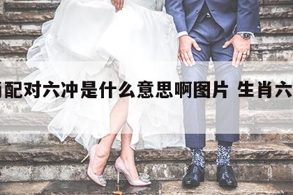生肖配对六冲是什么意思啊图片 生肖六冲口诀