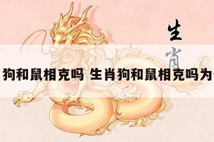 生肖狗和鼠相克吗 生肖狗和鼠相克吗为什么