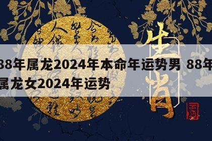 88年属龙2024年本命年运势男 88年属龙女2024年运势