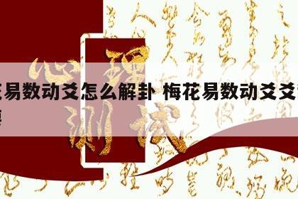 梅花易数动爻怎么解卦 梅花易数动爻爻辞最重要