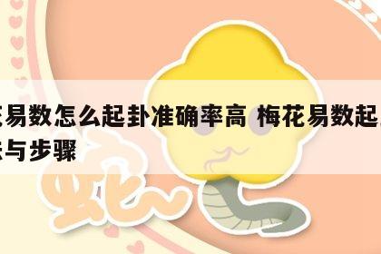梅花易数怎么起卦准确率高 梅花易数起卦的方法与步骤