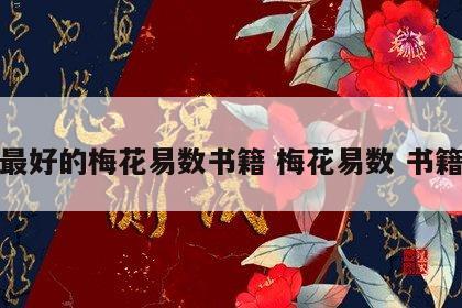 最好的梅花易数书籍 梅花易数 书籍