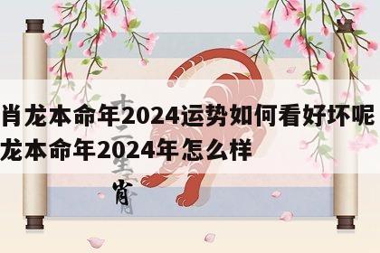生肖龙本命年2024运势如何看好坏呢 生肖龙本命年2024年怎么样