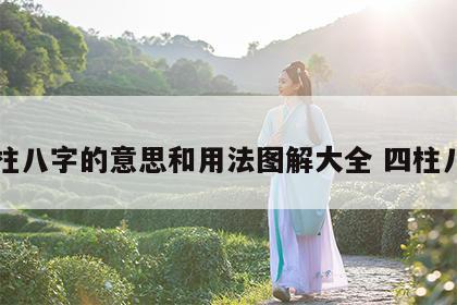 四柱八字的意思和用法图解大全 四柱八字