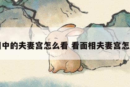 面相中的夫妻宫怎么看 看面相夫妻宫怎么看