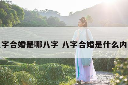八字合婚是哪八字 八字合婚是什么内容
