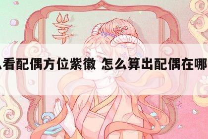 怎么看配偶方位紫徽 怎么算出配偶在哪个方位