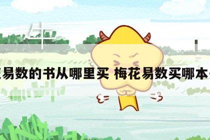 梅花易数的书从哪里买 梅花易数买哪本书好