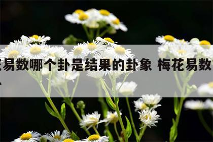 梅花易数哪个卦是结果的卦象 梅花易数对应的卦