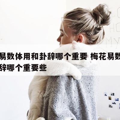 梅花易数体用和卦辞哪个重要 梅花易数体用和卦辞哪个重要些