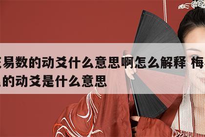 梅花易数的动爻什么意思啊怎么解释 梅花易数里的动爻是什么意思