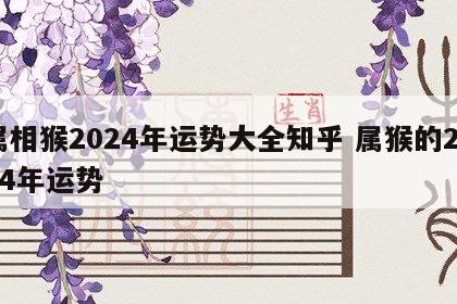 属相猴2024年运势大全知乎 属猴的2024年运势