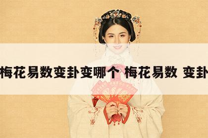梅花易数变卦变哪个 梅花易数 变卦