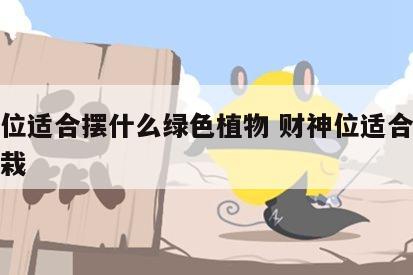 财神位适合摆什么绿色植物 财神位适合放什么盆栽