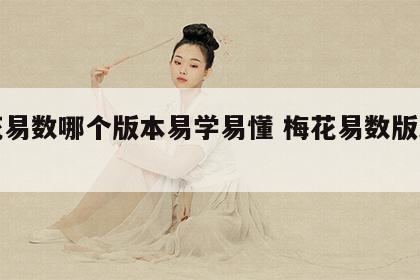 梅花易数哪个版本易学易懂 梅花易数版本推荐