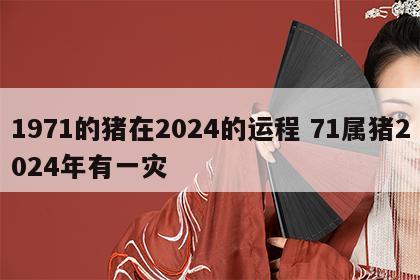 1971的猪在2024的运程 71属猪2024年有一灾
