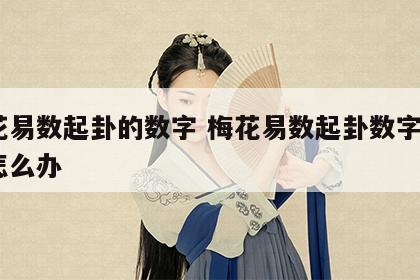 梅花易数起卦的数字 梅花易数起卦数字比8小怎么办