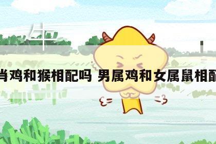 生肖鸡和猴相配吗 男属鸡和女属鼠相配吗