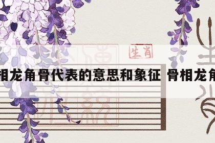 面相龙角骨代表的意思和象征 骨相龙角骨