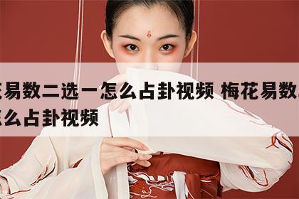 梅花易数二选一怎么占卦视频 梅花易数二选一怎么占卦视频
