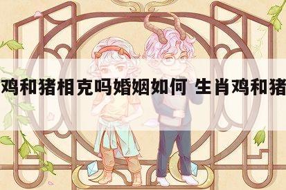 生肖鸡和猪相克吗婚姻如何 生肖鸡和猪能相处吗