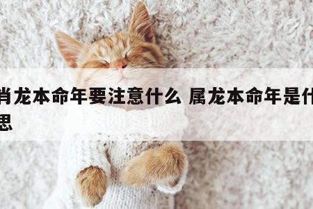 生肖龙本命年要注意什么 属龙本命年是什么意思