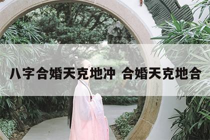 八字合婚天克地冲 合婚天克地合