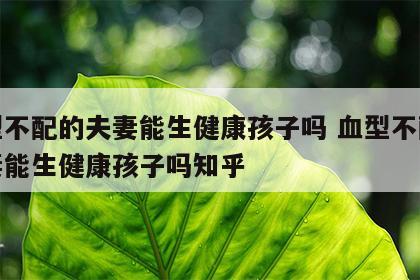 血型不配的夫妻能生健康孩子吗 血型不配的夫妻能生健康孩子吗知乎