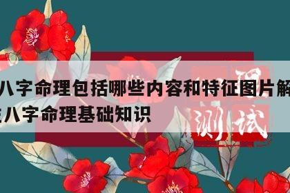 四柱八字命理包括哪些内容和特征图片解析图 四柱八字命理基础知识