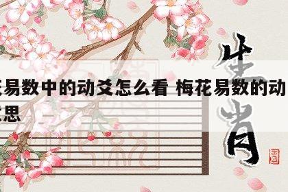 梅花易数中的动爻怎么看 梅花易数的动爻什么意思